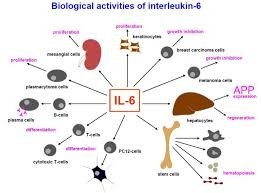 「interleukin-6」的圖片搜尋結果