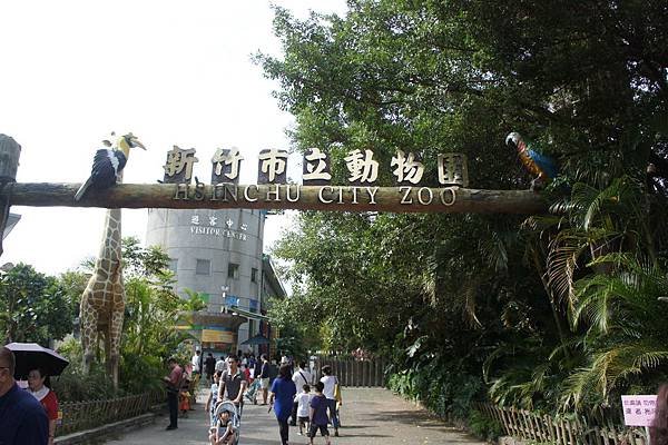 DSC07997