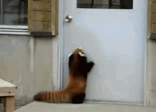 tumblr_lfp0a2yE0L1qdqhmvo1_400.gif