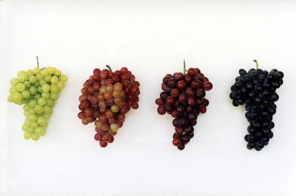 grape varieties Fernando Picarelli Martins flickr.jpg