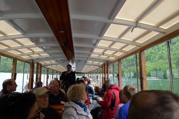 kingP1150197.JPG
