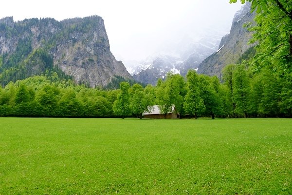 kingP1150319.JPG