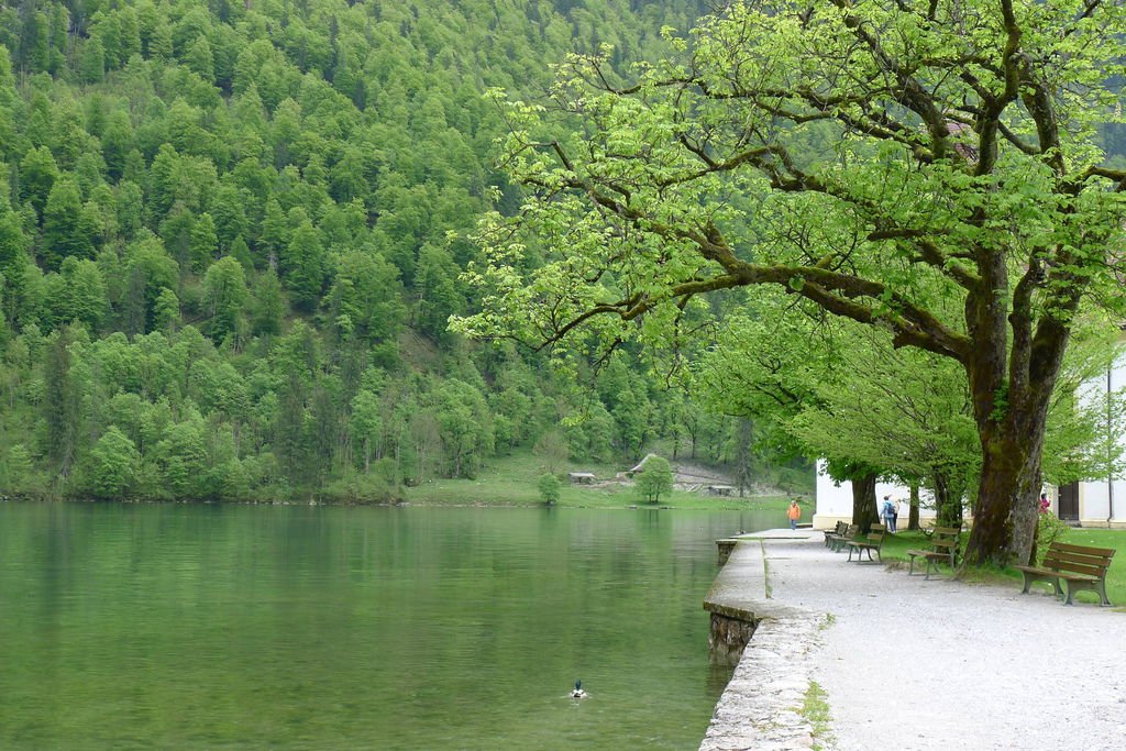 P1150271.JPG