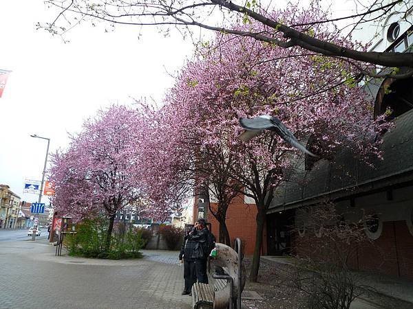 P1060099.JPG