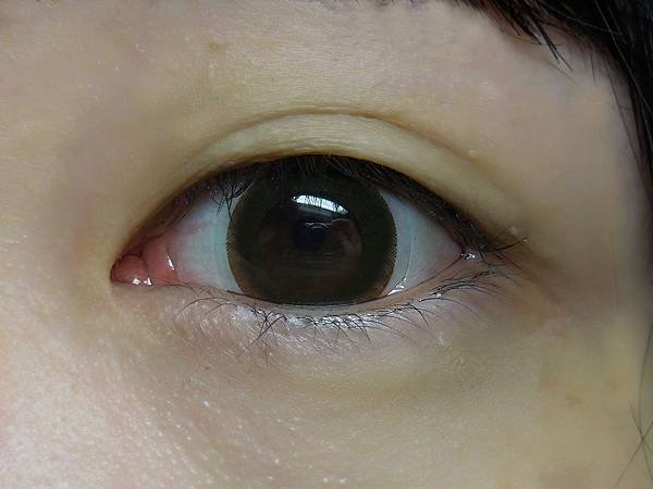 DSCN3710-.jpg