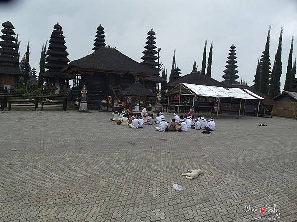 SAM_3348
