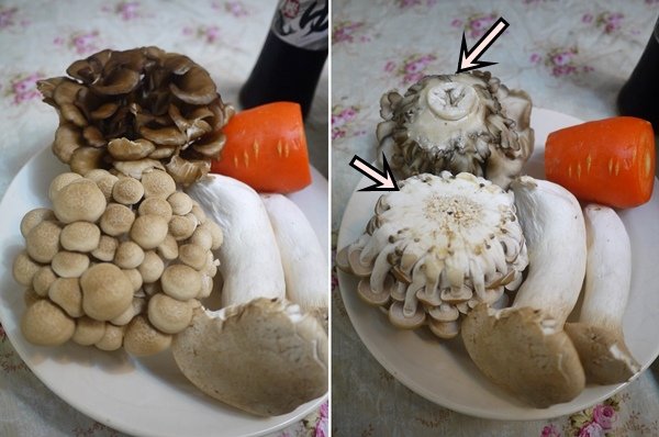 htyu.jpg