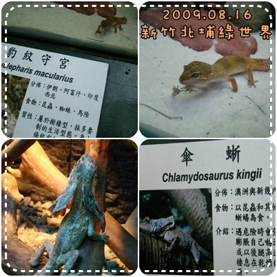 200908新竹北埔綠世界