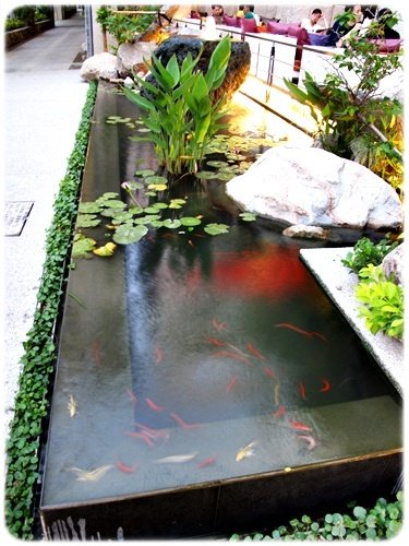 照片 007-1.jpg