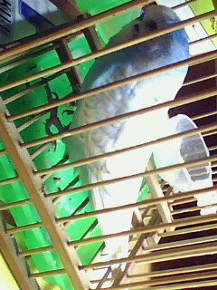 IMG0580A.jpg