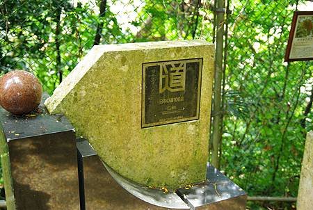 IMGP5784.JPG