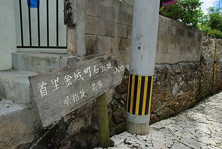 IMGP5796.JPG