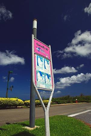 IMGP6572-2.jpg