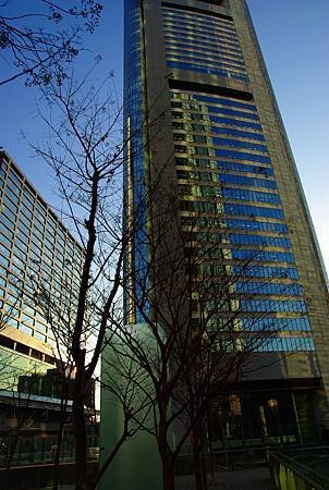 IMGP7741-2.jpg