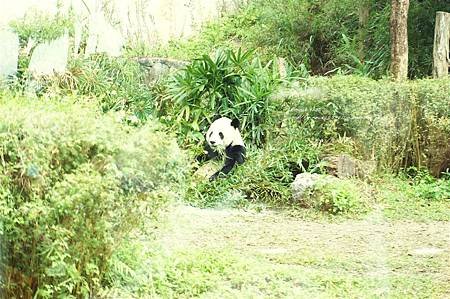 DSC09428 (Large).JPG