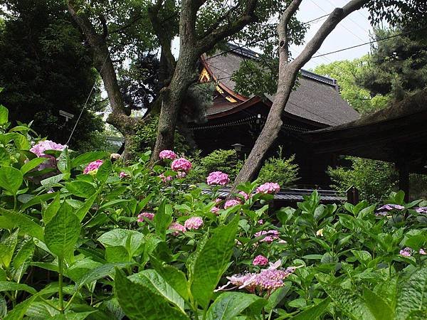 藤森神社06.jpg