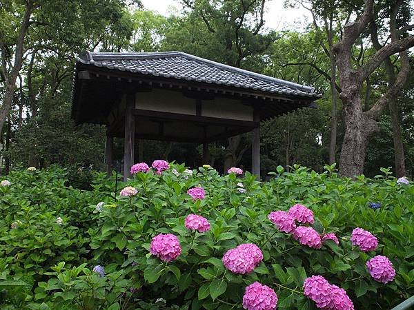 藤森神社04.jpg