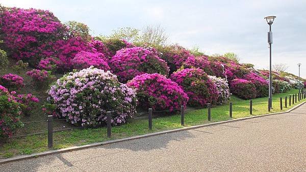 淺香山綠道04.jpg