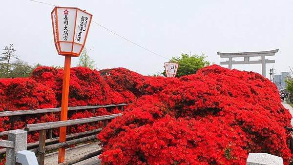 長岡天滿宮04.jpg