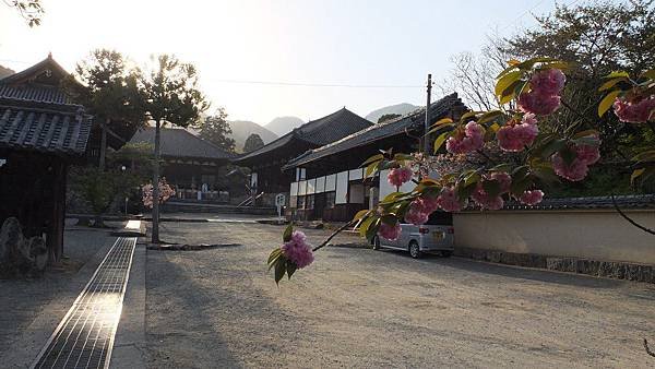 當麻寺02.jpg