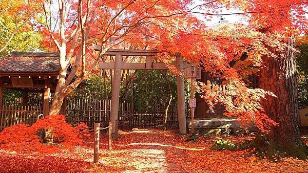 蓮華寺04.jpg