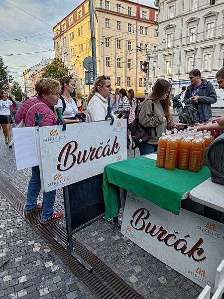 秋季限定Burčák