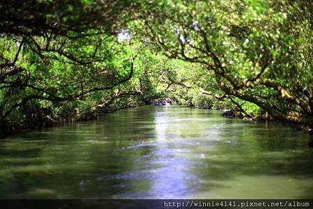 【台南．四草】綠色隧道-8.jpg