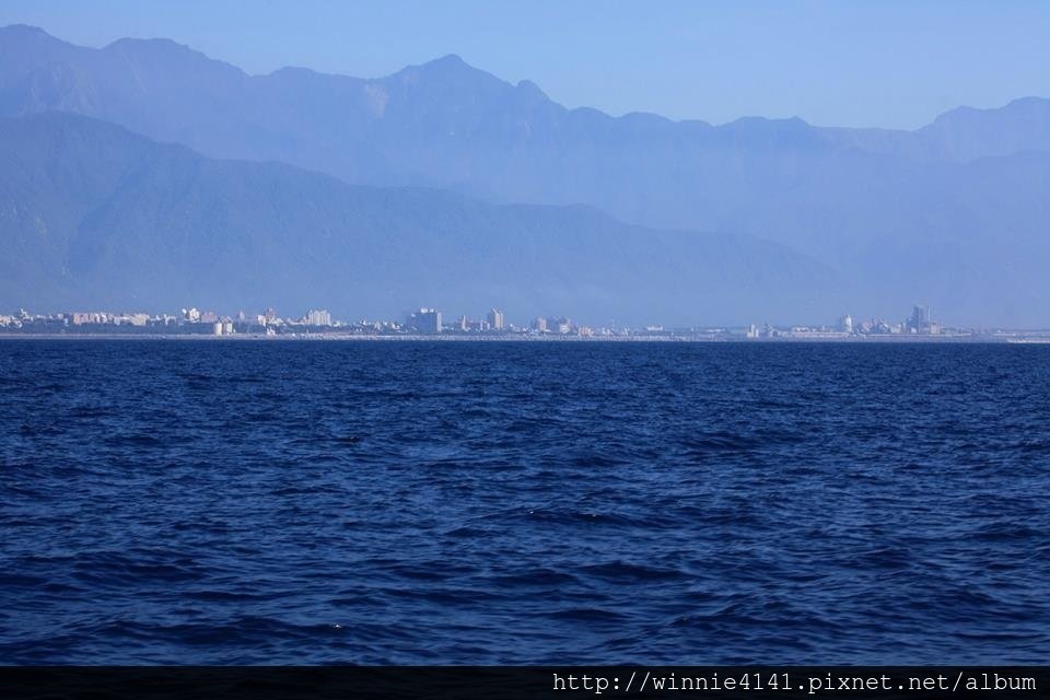 20160725賞鯨-18.jpg