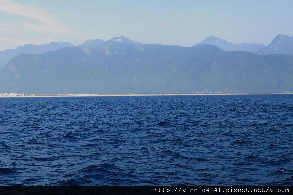 20160725賞鯨-23.jpg