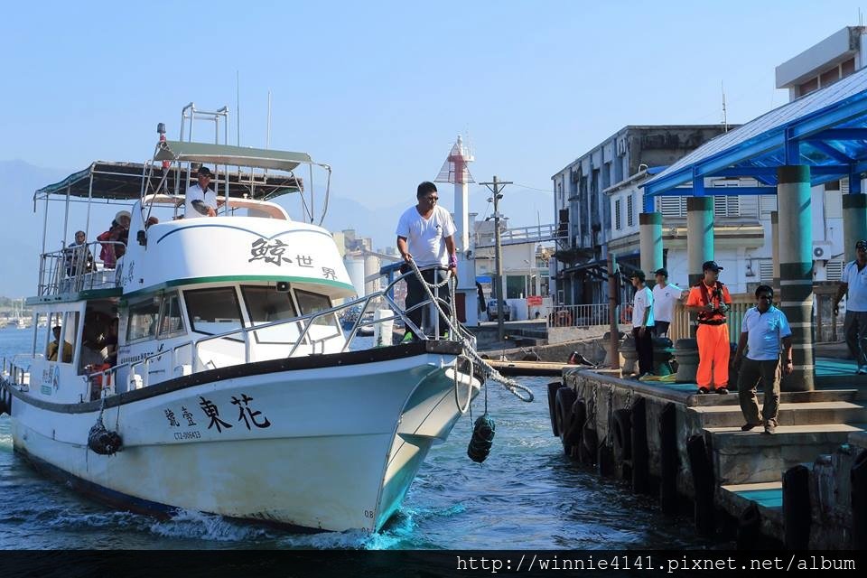 20160725賞鯨-26.jpg