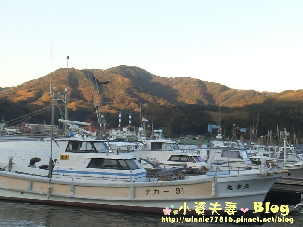 CIMG0405.jpg