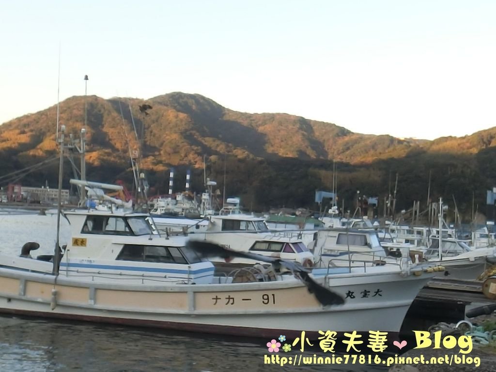 CIMG0404.jpg