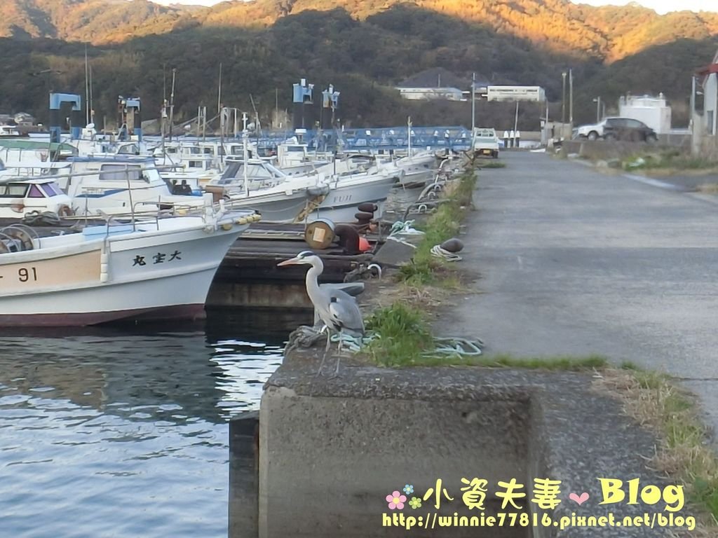 CIMG0402.jpg