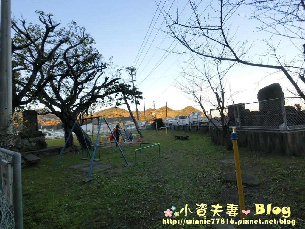 CIMG0393.jpg