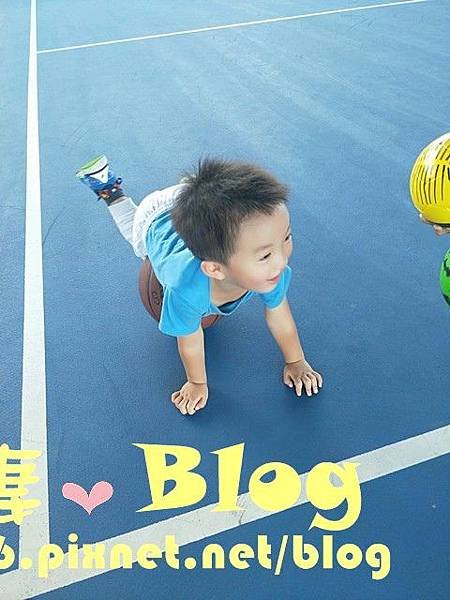 16796736.7b79c10d335a09ed3551cacf528a8364.19080500.jpg
