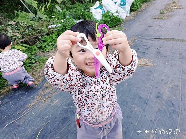 台中｜草莓世界。免費採草莓、現採現秤、免預約。5公頃果園乎你