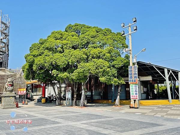 03-台南景點。台南旅遊。台南四草。綠色隧道。搭船.jpg