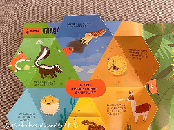 [團購]KidsRead中英點讀教材/迪士尼英文幼兒認知學習