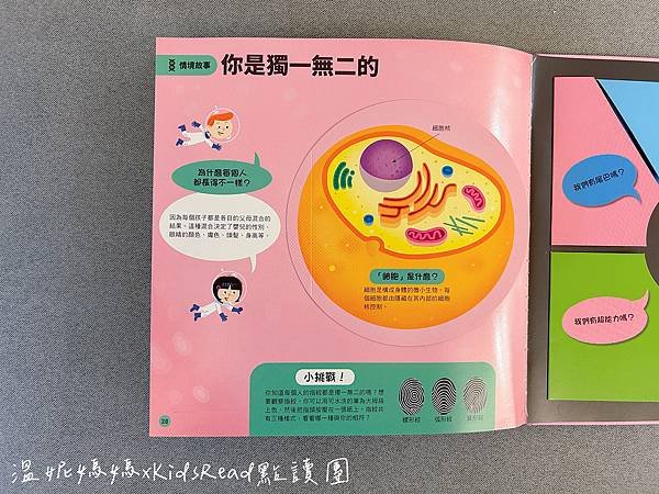 [團購]KidsRead中英點讀教材/迪士尼英文幼兒認知學習