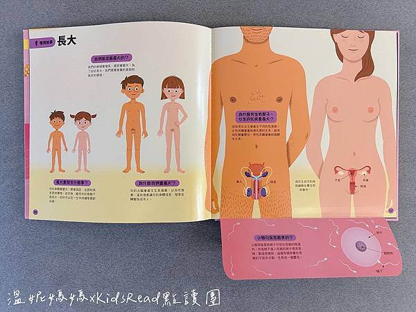 [團購]KidsRead中英點讀教材/迪士尼英文幼兒認知學習