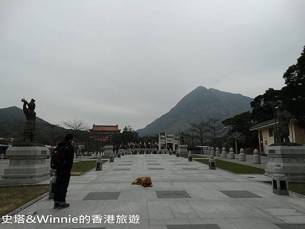 DSC00518