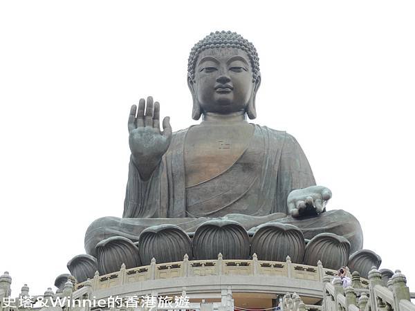 DSC00524