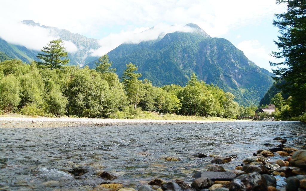 DSC04666a.jpg