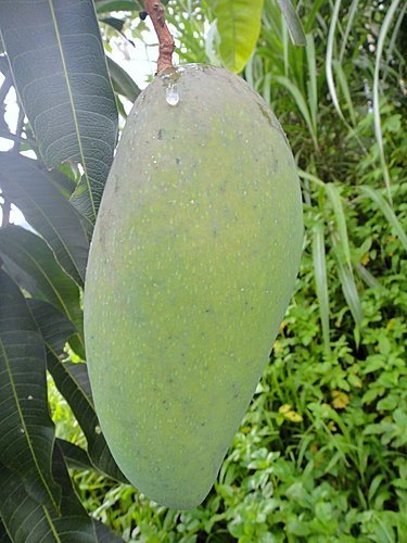 106.jpg