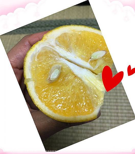 有機柳丁8.jpg