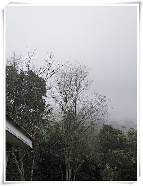 山中雲霧8.jpg