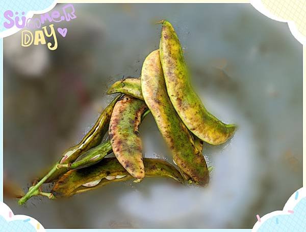 花仁皇帝豆9.jpg