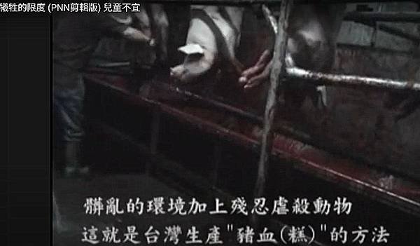 犧牲.jpg