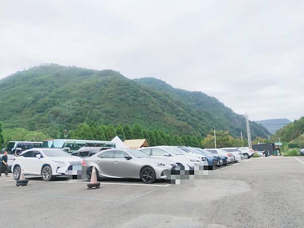 [新竹景點]入門級森林步道-尋找青蛙王子