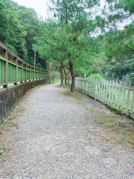 [新竹景點]入門級森林步道-尋找青蛙王子